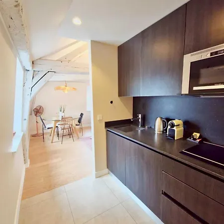 Luxury In Le Marais Appartement