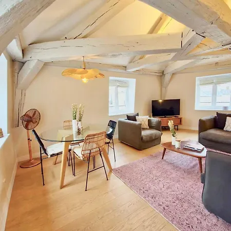 Luxury In Le Marais Appartement