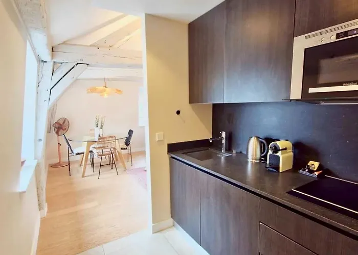 Luxury In Le Marais Apartmán